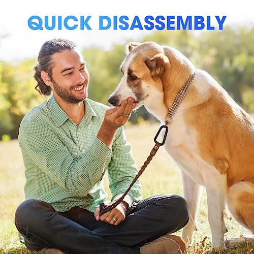 Heavy Duty Carabiner Clip, Steel Carabiners 1100lbs 3" D Shaped Spring Hook Small Clips for Hammocks, Hiking, Keychains, Outdoors and Gym, Dog Leash and Key Ring - style: 6PCS 3'' Clips