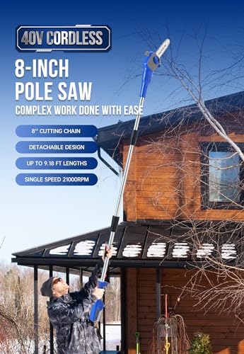 WILD BADGER POWER Pole Saw Cordless 40V 8'' Electric 2.0Ah with Detachable Pole, 2Ah Battery and Charger included - style: 40V