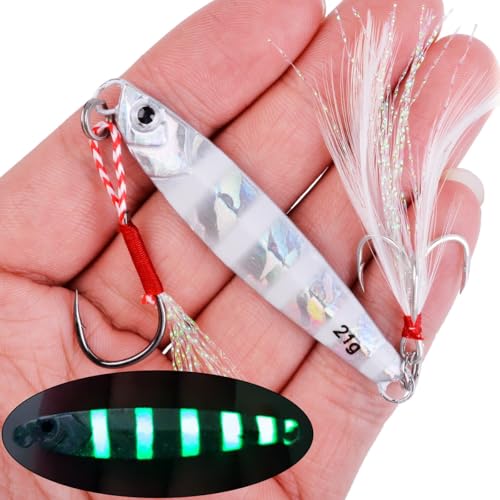 Saltwater Fishing jigs Speed Jigging Slow Jigging Pitching Lures Artificial Lures - size: 10pcs 40G