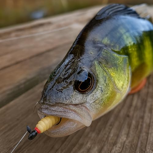Waxworms & Fake Maggots – Realistic Soft Fishing Lures for Crappie, Trout, Panfish, Bluegill & Perch – Artificial Worms for 1/64–1/80 oz Jig Heads or Floats (50 Pack)