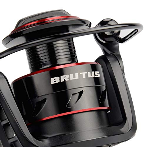 KastKing Brutus Spinning Reel, Freshwater Spinning Fishing Reels, Graphite Frame, CNC Aluminum Spool, 5.2:1 Gear Ratio, 4+1 Ball Bearings - style: 5000