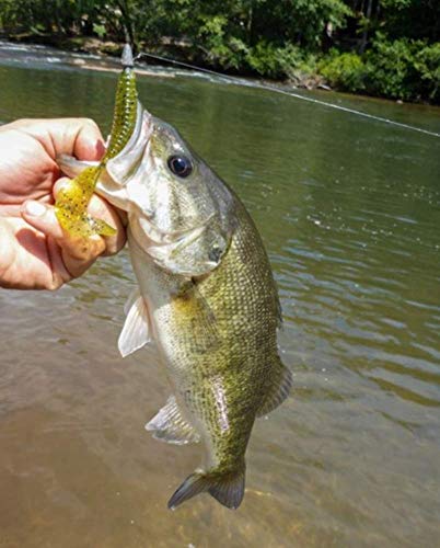 YUM Grub Multi-Species Curly-Tail Swim-Bait Fishing Lure - color: Green Pumpkin, size: 3"