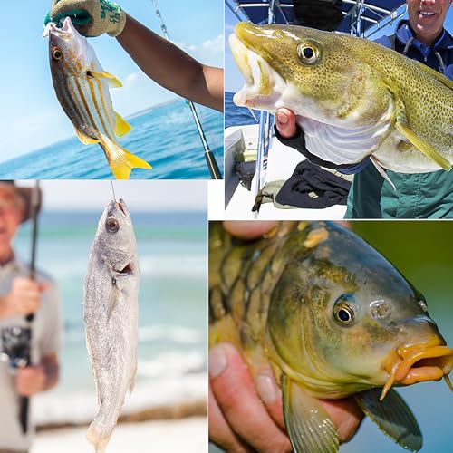 Fishing Weights Sinkers Bank Sinkers Bullet Weights for Surf Fishing Pier Bank Fishing Saltwater Fishing Gear 1oz to 8oz - size: 5 Ounce-4pcs