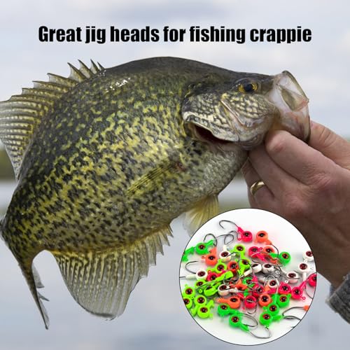 Alwonder 50-Pack Crappie Jigs Ice Fishing jig Heads Hooks with 3D Eyes, Eye-Catching Vivid Crappie Panfish Lures Bass Trout Fishing Jig Head, 1/32oz 1/16oz 1/8oz Jigs Heads Freshwater - size: 1/8oz