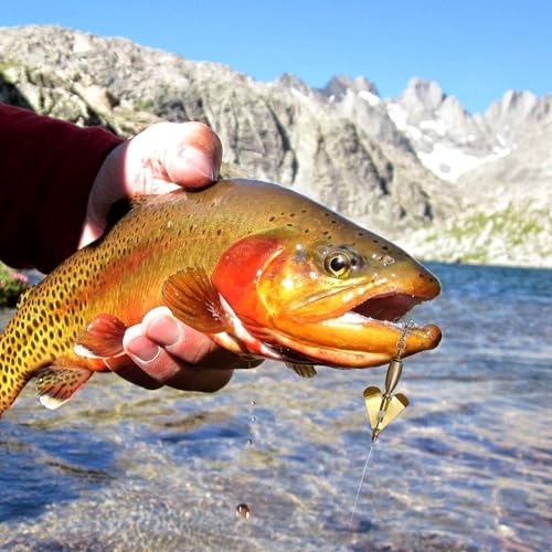 Buzzbait Fishing Lures Kit Bass Spinnerbait Baits with Treble Hook Topwater Buzz Bait Swimbait Metal Swim Jig Lure for Bass Pike Trout Salmon Fishing Freshwater Saltwater Fishing