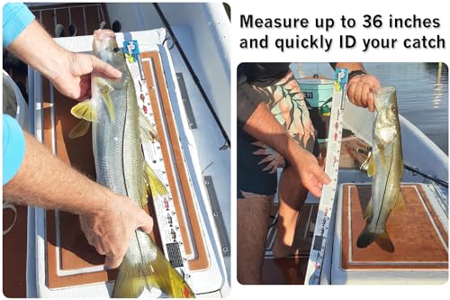 Salty Bones Florida Saltwater Lawstick - Double-Sided 36" Folding Fishing Ruler with Florida's Atlantic and Gulf Guidelines - Made in the USA - Updated for 2026
