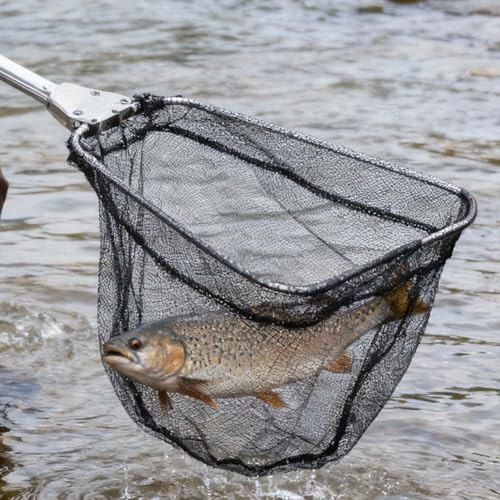 Fishing Landing Net, Folding Fish Net with Telescoping for Father, Son, Husband, or Friends Who Enjoy Fishing, Pole Freshwater Fish Net for Small Fish