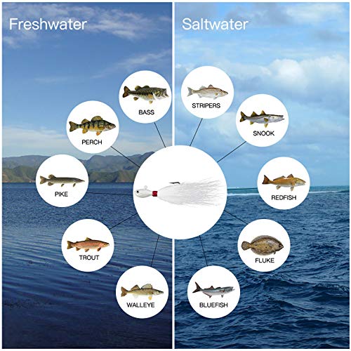 Dr.Fish 3 Pack Bucktail Jig Lure Hair Jig Saltwater Freshwater Lures Surf Fishing Bass Flounder Striper Bluefish Halibut Redfish - color: White (Pack of 3), size: 1/2 oz