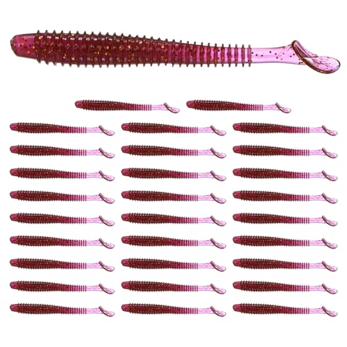 Soft Fishing Lures - Paddle Tail Swim Bait for Bass, Trout in Saltwater & Freshwater - Rigged with Hooks - Durable ABS Plastic - color: Purple Red, size: 2.95"