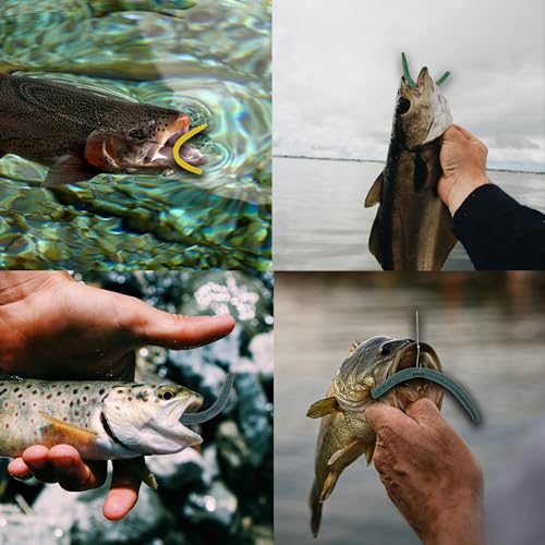 Wacky Worm Bass Lures Kit: 40PCS 5" Senko Worms with Storage Box | Slow-Sink Fishing Baits for Freshwater Saltwater