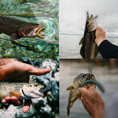 Wacky Worm Bass Lures Kit: 40PCS 5" Senko Worms with Storage Box | Slow-Sink Fishing Baits for Freshwater Saltwater