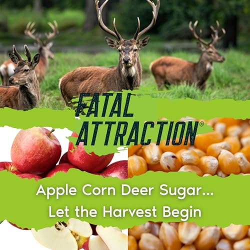 FATAL ATTRACTION Deer Sugar Deer Attractant; Long-Range Liquid Deer Attractant – Sweet Apple Corn Scent – 12+ Hour Power