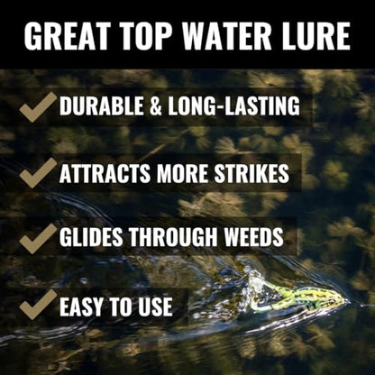 LUNKERHUNT - Frog Bait for Bass Fishing | Soft Hollow Body Weedless Frog for Bass Fishing and Trout | Weedless Realistic Bait Frog Lure, Freshwater with Sharp Hooks Lures and Double Propellers Feet - style: Green Tea