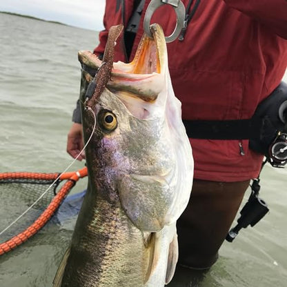 A.M. Fishing Curly Tail Jerkshad 4 Inch Soft Baits Garlic Infused,– 8 Pack – Saltwater & Freshwater Fishing Lures for Bass, Redfish, Snook, and Trout - color: Toxic Rootbeer