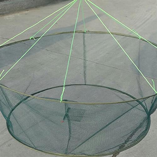 Fishing Accessories - 80/100cm Folding Fishing Net Hanging Wire Mesh Steel Wire Mesh Fish Cage Bait Crab Shrimp Pier Pond Shrimp Trap Minnow Mesh Net