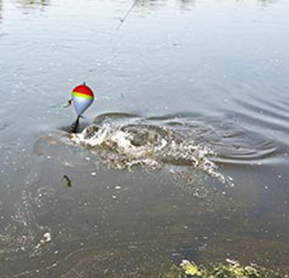3pcs Carp Float Fishing Surface Running Floating Feeder Bait Bag up Method 40g/1.4oz