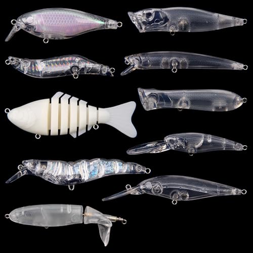 Blank Fishing Lure Kit,Unpainted Popper Plug Lures DIY Crank Bait Set Fishing Pliers Treble Hooks 3D/4D Lure Eyes Bait Sticker Split Rings,Fish Tackle Accessories Kits - color: Lure Kit-10pcs