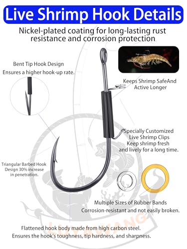 15/40 Packs Live Shrimp Hooks Saltwater Fishing Hooks - High Carbon Steel Barbed 4 Sizes Non-Piercing for Catfish Bass Multi-Environment - color: Small set (2/0*15pcs)