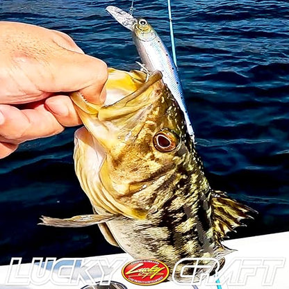 LUCKY CRAFT Pointer 100DD-S, Saltwater Surf Fishing Lures, Jerkbait, Halibut, Surf Perch, Calico Bass, White Seabass, Striped Bass, Sinking, Fishing Gear - color: 789 Clear Sardine