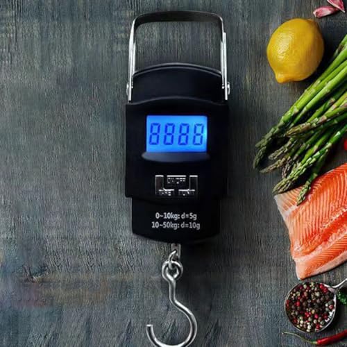 INOOMP Portable Handheld Fishing Scale Digital Luggage Weight Scale High-Precision Small Electronic for Travel Home Use with LCD Display