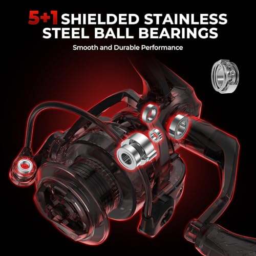 KastKing Royale Legend Fishing Reel - 5.2:1/6.2:1 Gear Ratio Spinning Reel, Up to 22 Lbs of Carbon Drag, 5+1/7+1 Stainless Steel Ball Bearings, Graphite Frame, Asymmetric Spinning Reel Rotor Design - color: Black- 5.2:1- Royale Legend II, size: 1000