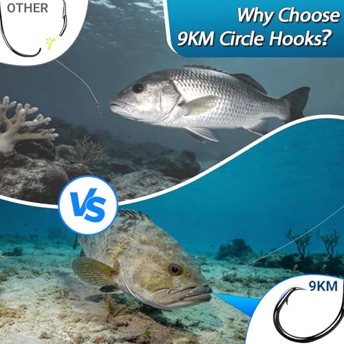 9KM DWLIFE Circle Hooks 25pcs 4X Strong Fishing Hooks – High Carbon Steel, Non-Offset Closed Eye, Wide Gap for Catfish, Striped Bass, Salmon –Circle Hooks for Saltwater & Freshwater - size: 10/0#
