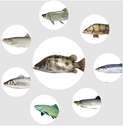 Fly Fishing Poppers,Topwater Popper Flies Bugs Lure, Dry Flies Kit for Bluegill Sunfish Bass Crappie Steelhead Flies Trout Salmon Perch for Fly Fishing Bass Panfish Bluegill Trout Salmon - color: 10pcs-high quality