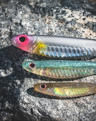 Nomad Design Spectre Minnow 3.25" Internal Foil System, Soft Paddletail - (5 Pack) - Live Ops for Fresh or Saltwater Inshore Species - color: Sexy Shad