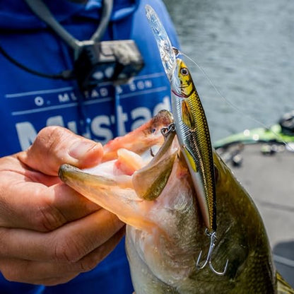 Mustad BlacktipH Live Bait Rig, Demon Wide Gap Circle Hook, Premium fluorocarbon Leader, Premium Rosco Swivel - size: Large