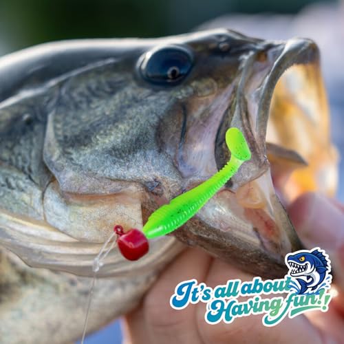 Soft Fishing Lures, 6.5cm/8cm Paddle Tail Swimbaits Soft Plastic Lures Kit for Bass Trout Walleye Crappie 30pcs/40pcs… - color: B-6.5cm/2.55in-40pcs