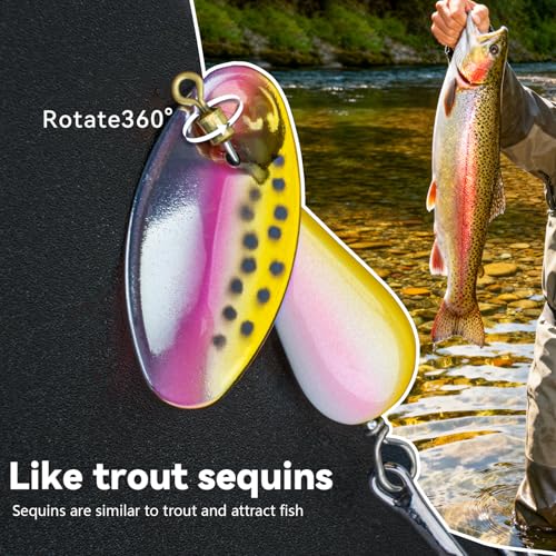 QualyQualy Trout Lures Fishing Spinnerbaits 5pcs Brass Hard Metal Spinner Trout Baits Fishing Lure for Perch Freshwater Saltwater Lake River - color: #B, size: 1/6 oz