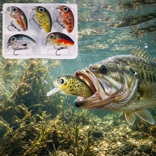 5 Pcs Mini Fishing Crankbaits Kit,Realistic 3D Eyes Floating Swimbait for Bass, Trout, Perch, Walleye,with Tackle Box