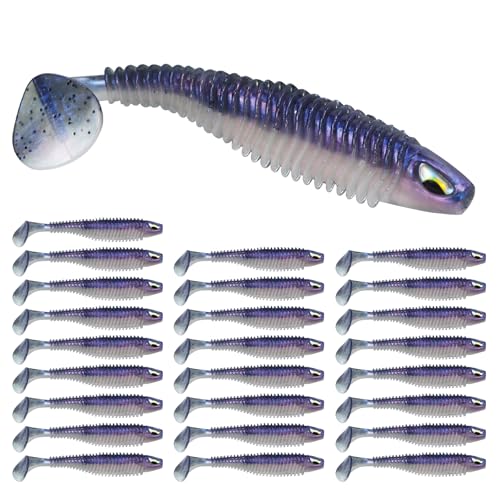 3D Eyes Paddle Ribbed Bait, 2.5in 3in 4.1in Soft Plastic Paddle Tail Swimbaits Fishing Lures for Bass Fishing Freshwater Saltwater 12/20/25 PCS - color: Purple, size: 2.5in(6.5cm)-25PCS