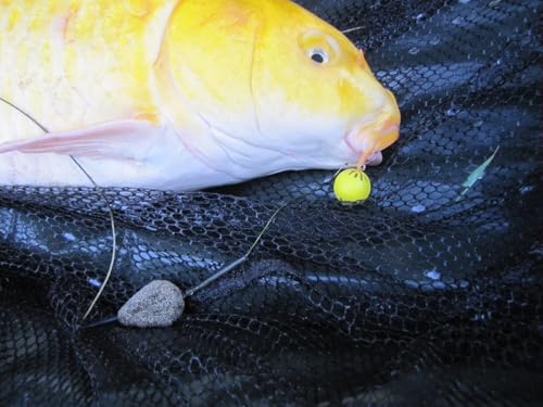 Karpela Bait Matrix Shell (Set of 4) – Protective Shell for Soft Bait & Liver – Turtle & Crawfish Resistant – Carp & Catfish Rig - color: Yellow, size: Small Hole