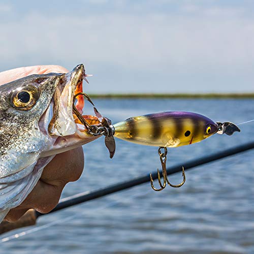 Cotton Cordell Crazy Shad Spinning Topwater Fishing Lure, 3 Inch, 3/8 Ounce - color: Bluegill