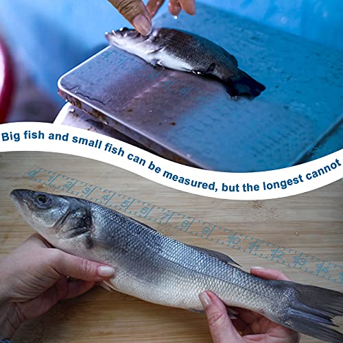 4 Pieces 40 Inch Fish Rulers Fish Measuring Tape Sticker for Boat Transparent Waterproof Adhesive Ruler Tape Fishes Measure Board for Fishing Accessories(Blue) - color: Blue