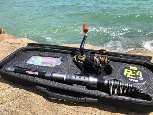 Telescopic Fishing Rod and Reel Combination, 240 Cm Carbon Fiber Rod, Adult Foldable Fishing Rod Suitable for Freshwater and Salt Water - color: Black And Silver