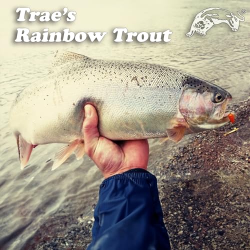 Panther Martin Nature Series Dressed Teardrop Spinners Fishing Lure Catches Trout,Walleye, Crappie, Pickerel, White Bass, Grayling and More. - color: Albino Red Hook, size: 6 (1/4 oz)
