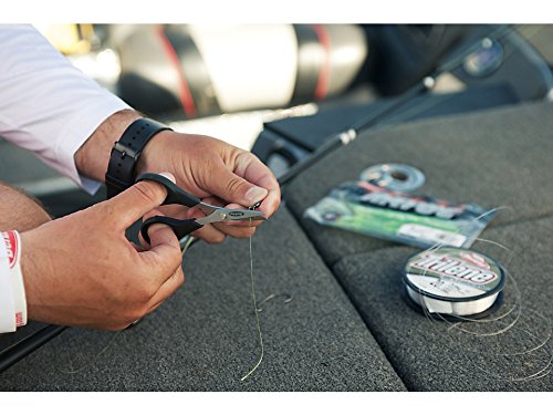 Berkley Trilene Big Game Monofilament Fishing Line - color: Solar Collector, size: 900yd, style: 15lb Test
