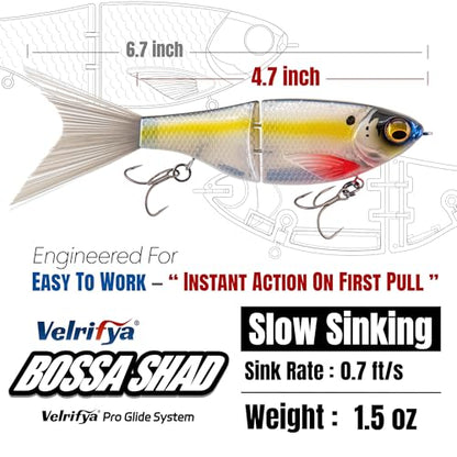 Bossa Shad Multi-Jointed Swimbait – Realistic Shad Profile with Natural Swimming Action for Bass Fishing - color: 03-Ghost Blue