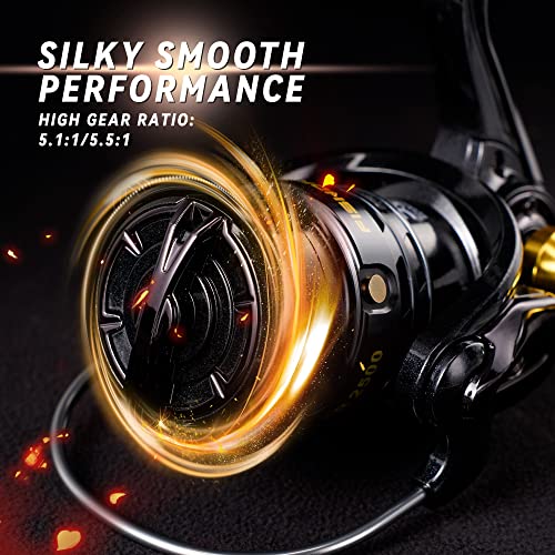 Fishdrops Fishing Reels Spinning Reel Left/Right Interchangeable Aluminium Handle, 7.5 oz Ultralight Spinning Reels, 5.5:1 Gear Ratio Deep/Shallow Aluminum Spool for Freshwater and Saltwater - size: TAILER3000