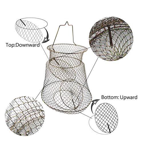2pcs Metal Rustproof Collapsible Fish Basket - Robust and Easy to Use Net Cage for Live Fish