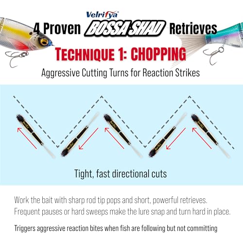 Bossa Shad Multi-Jointed Swimbait – Realistic Shad Profile with Natural Swimming Action for Bass Fishing - color: 02-Silver Bleed