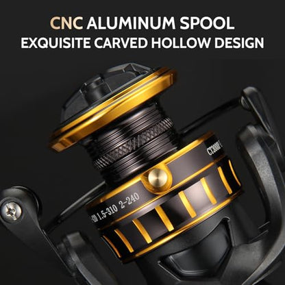 CT Surf Saltwater Fishing Reels, 5+1 Double-Shielded Stainless-Steel BB, 22LBs Max Drag, 5.2 Gear Ratio, CNC Aluminum Spool & Handle Freshwater and Saltwater Spinning Reel - size: 2000
