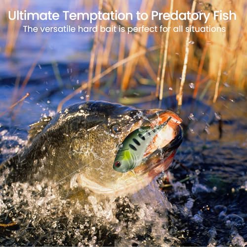 Pristis Jig Head Fishing Lures for Freshwater Saltwater, Weedless Swim Jig Teasers with Sharp Hooks & Exquisite Coating, Pre-Rigged Vibrating Swimbaits Kit Gear for Bass Crappie Walleye Trout Pike - color: 3 pcs Lipless Crankbaits Dark Set