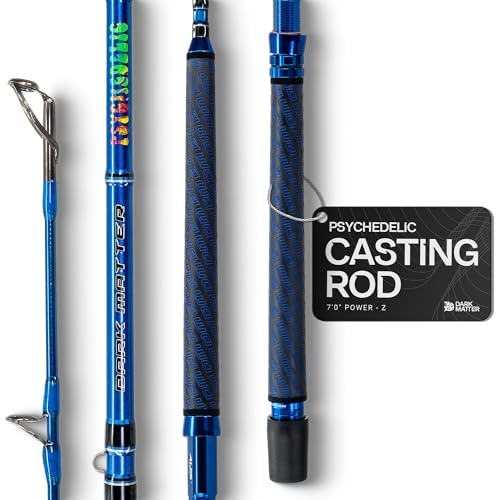 Dark Matter Psychedelic Casting Fishing Rods Medium Heavy Power X - High-Modulus M3 Carbon Nano Baitcaster Rod Saltwater and Freshwater Fishing Rods, 7ft Medium Heavy Baitcasting Rod - color: Blue, size: 7'0" Power - Z