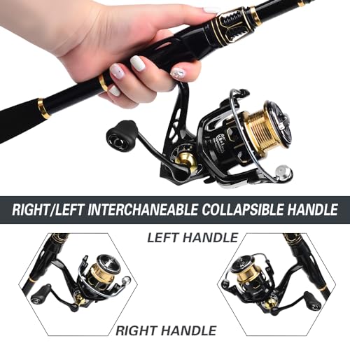 Fishing Rod and Reel Combo - Carbon Fiber Telescopic Fishing Pole with 2000 Spinning Reel Combos - Sea Saltwater Freshwater Ice Bass Fishing Tackle Set Fishing Rods Kit Fishing Poles and Reels Combo - color: Full Kit with Carrier Case, size: 5.9 ft