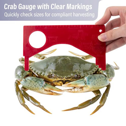 Dr.Fish Foldable Crab Trap with Gauge and Bait Clip, Castable Crab Crawfish Trap Snare Crabbing Net for Crayfish Lobster Minnow - color: Single Crab Trap with Gauge