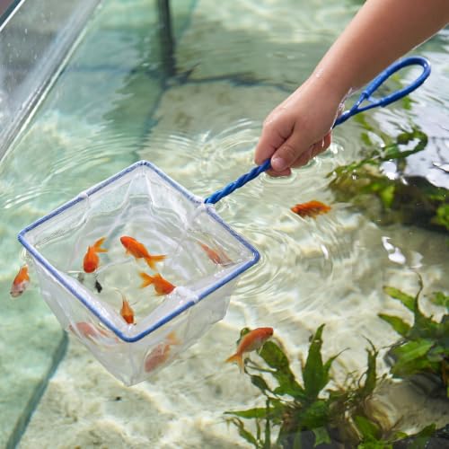 6 Pack Aquarium Fish Nets Blue Soft Fine Nylon Mesh with Spiral Plastic Handle & Iron Frame, Durable Fish Catch Net for Tank Cleaning, Fry, Pond and Stream - size: 4 In,6 In,8"