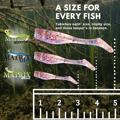 Fishing Lures for Speckled Trout, Redfish, Bass - Louisiana Paddle Tail Swimbaits for Freshwater and Saltwater - color: Shrimp Creole